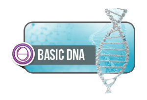 ThetaHealing® Basic DNA - online