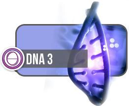 ThetaHealing® DNA3 - ONLINE
